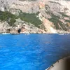 cinziapremi1