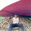 rinz693