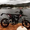 mazzu.2