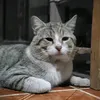 aidaestelamoreno