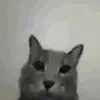 pukikaki1111