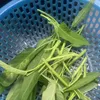 thanhthien131