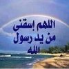 ayatmohamed394