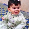 hafdan12