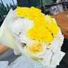 sunshine_dinarka