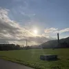 the_tzibist