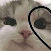 migatitohermoso_123