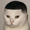 coolwhip247