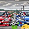 user817302987