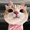 kiki_under_arrest