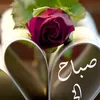 hasanalomar04