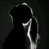 user52795118157163
