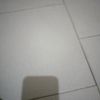 user115357784