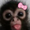 iluvxyaa