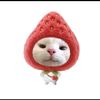 cil__dhe24