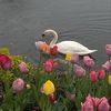 duvina_6