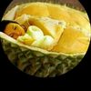 uwodurian
