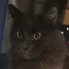 wwwlileee