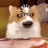 tracycarluntalan