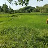 tienphung01