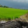 tuthanh074