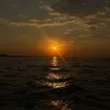 lxna_265