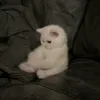 nina__.000