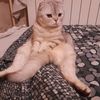 oleg_o2005