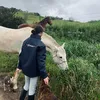 crmen_44