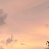 difajourney_