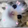 mina_grgic