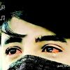 fouadsaadzaoudalqanashi