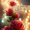 zainanb213