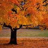 user685130160