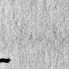 tovana_2ll