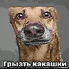 aquakz