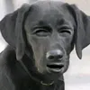 dkfkvkdkewp
