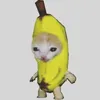 banane6969