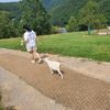 user189295120