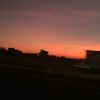 shosh__55