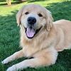 Tucker