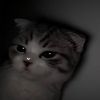 iraa_1245