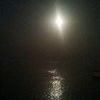 ابو معتصم الشريف