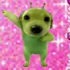 dzcutehihi