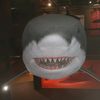 11sharky