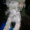 clauss220610