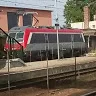 kiralytamas0619