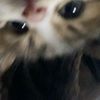 user2313446