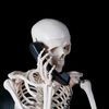 zucktheskeleton