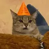 vishnevoe_vino24